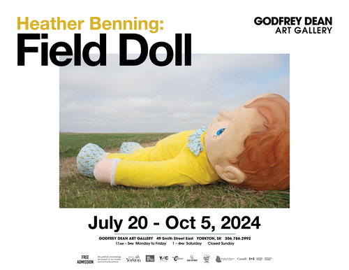 A doll with red hair and blue eyes, lying in a field of grass, looking upwards towards a cloudy sky.