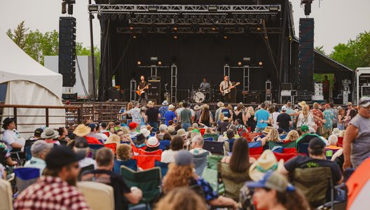 A group of people watch a concert