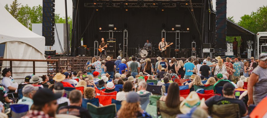 A group of people watch a concert